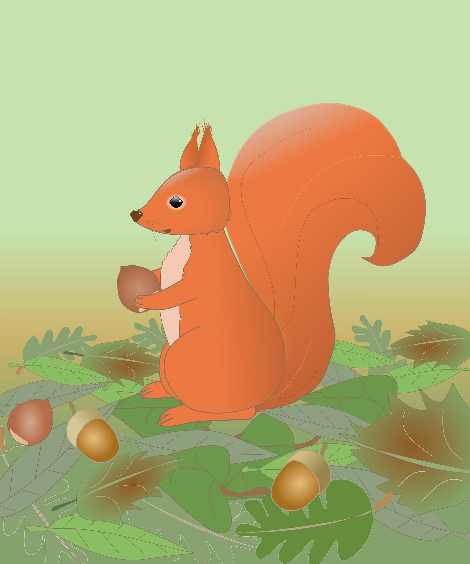 THE SHORT SAD LIFE OF ROCKY THE SQUIRREL